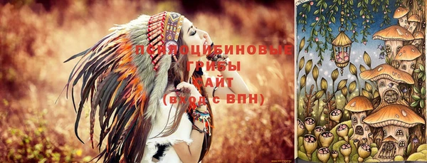 герыч Алексеевка