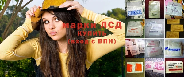 крисы Алзамай
