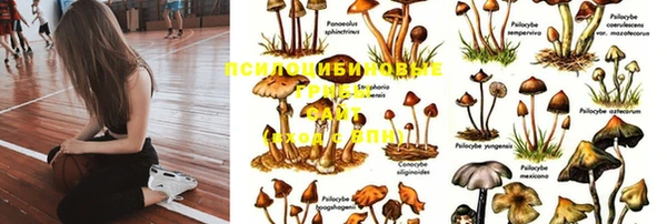 a pvp Тутаев